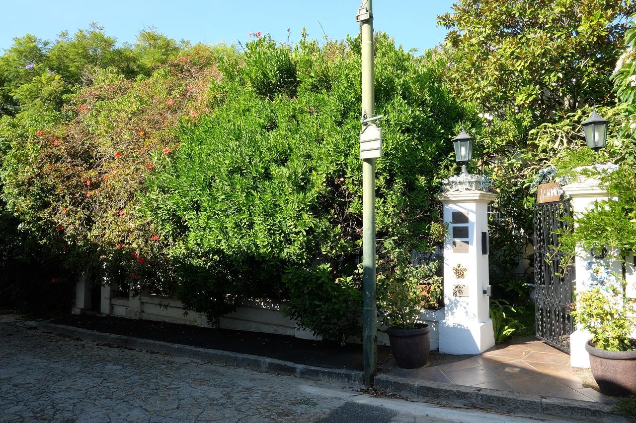 Jambo Guest House Kapsztad Zewnętrze zdjęcie